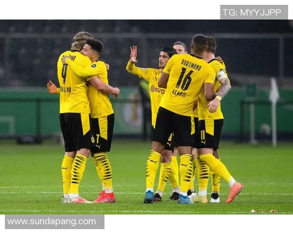 意甲精彩对决多特蒙德逆转战胜AC米兰全场沸腾赛后分析